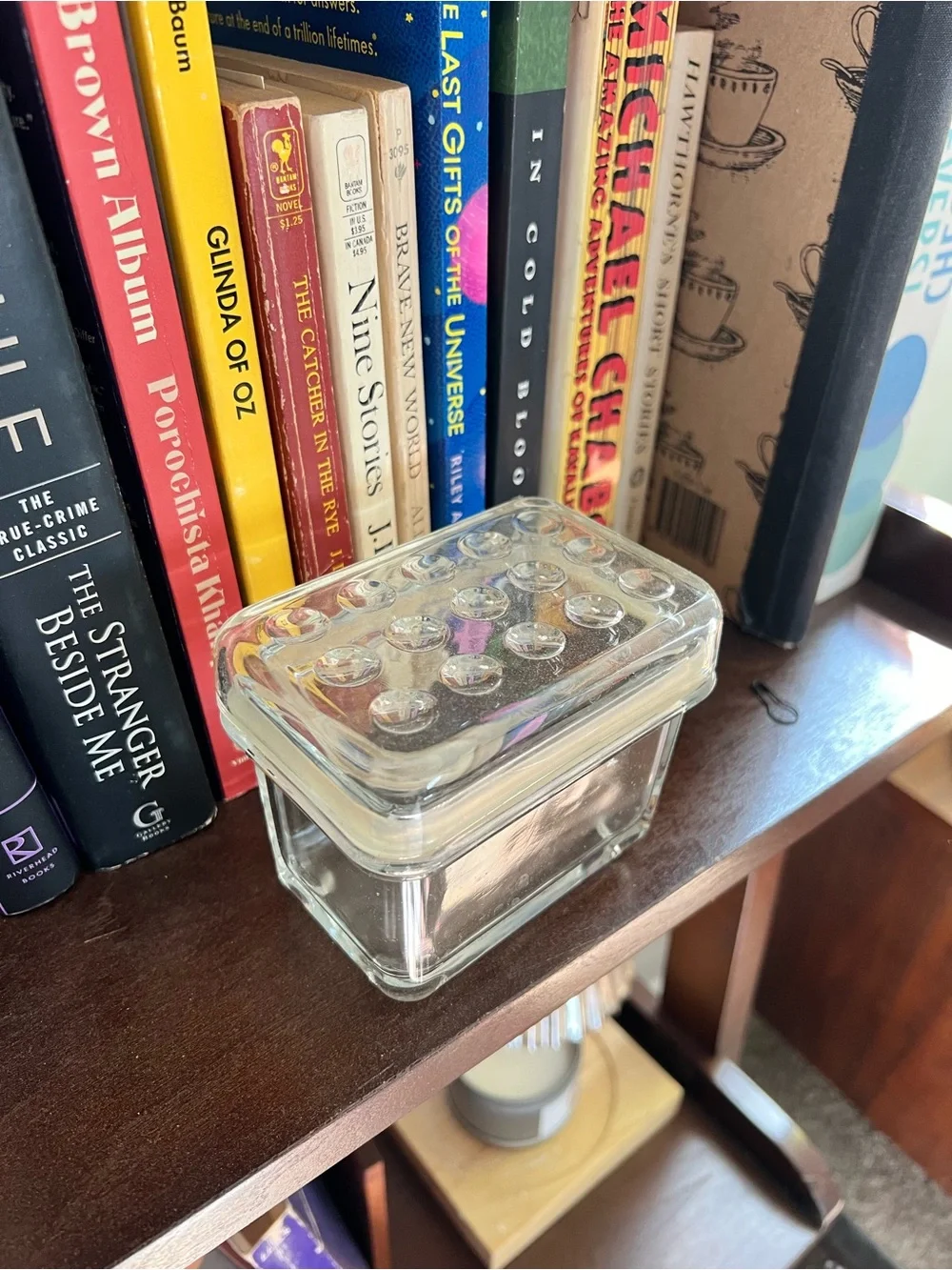 Vintage IKEA glass domino storage box